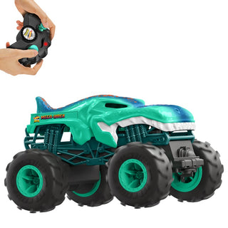 Hot Wheels Monster Trucks RC 1:24 RANDOM