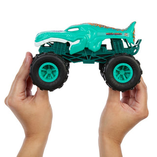 Hot Wheels Monster Trucks RC 1:24 RANDOM