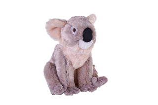 Cuddlekins Eco Koala 12