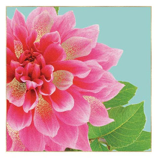 WG Occ Blank Card Pink Flower