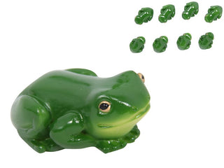Rainforest Lucky Frog Magnet