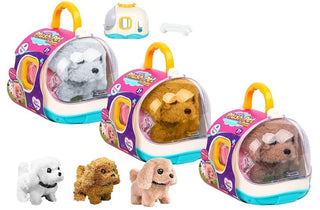 2 Piece Plush Dog with Bone in Carry Case